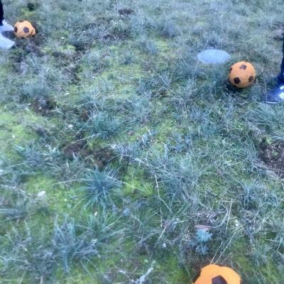 FootGolf en Famille 3