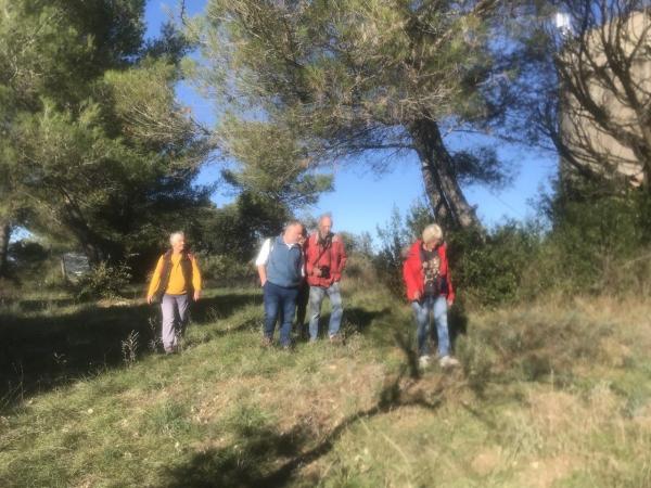 Cueillette de champignons